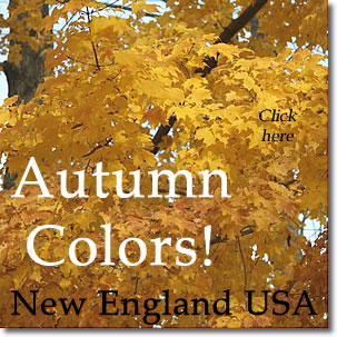 Fall foliage tours in New England USA