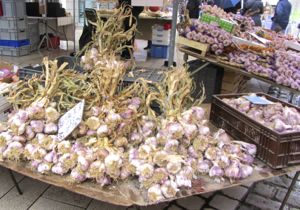 Garlic, Beaune, France