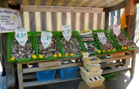 Oysters for sale, Cancale, Brittany, France