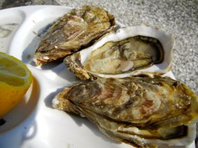 Oysters, Cancale, Brittany, France