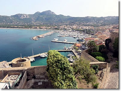 Harbor of Calvi, Corsica, France