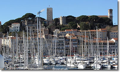 Le Suquet above Le Vieux Port, Cannes, Côte d'Azur, France