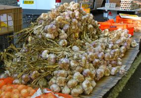 Garlic, Amboise Market, France