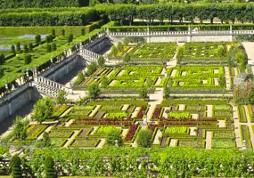 Vegetable Gardens, Château de Villandry, France