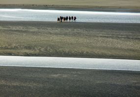 A group learns about the Bay of Mont-Saint-Michel, Normandy, France