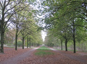 Bois de Vincennes, Paris