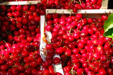 Organic cherries, Raspail Market, Paris