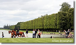 Versailles gardens with horses, France